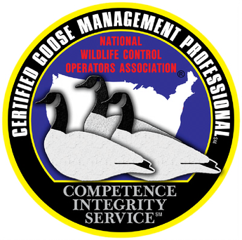 Rescue Me Goose Chasing - Homestead Business Directory